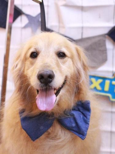 20230401ミッキーちゃん